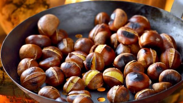 KESTANE HABERİ ile ilgili görsel sonucu