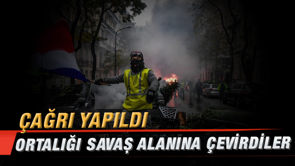 Akvaryum neden suyu yağlar ve onunla nasıl başa çıkar 65