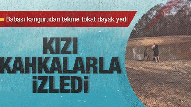 Avustralyada kanguru saldırısına uğrayan adam günün konusu oldu Avustralyada kanguru saldırısına uğrayan adam günün konusu oldu
